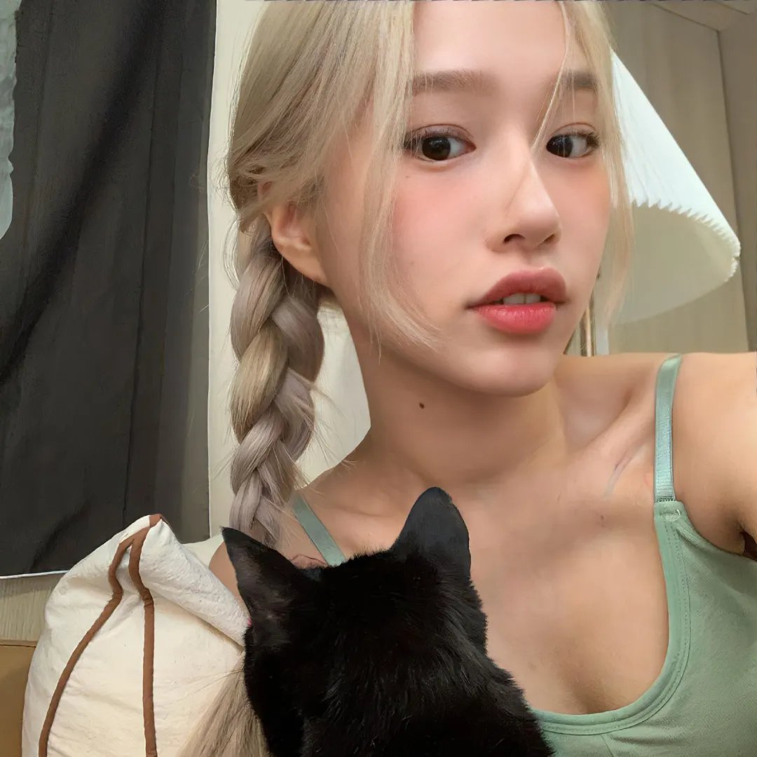 快乐的小鸡